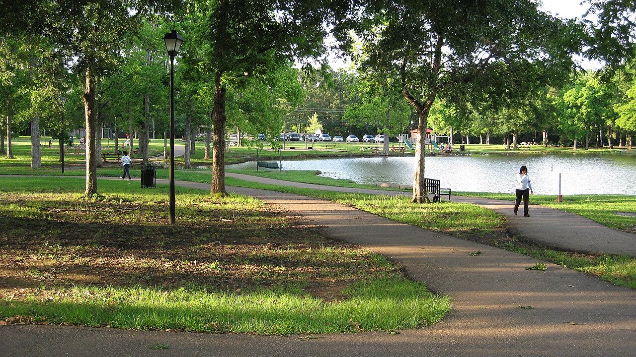 Madison web design services