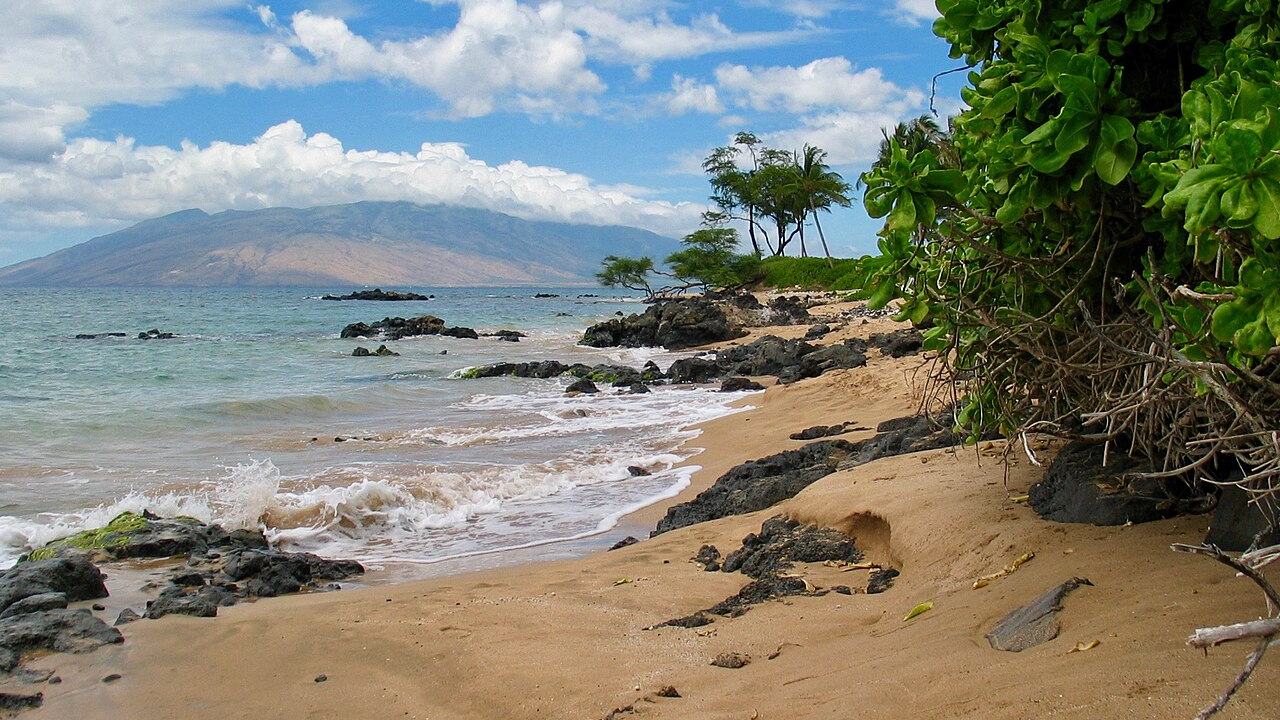 Kihei web design services