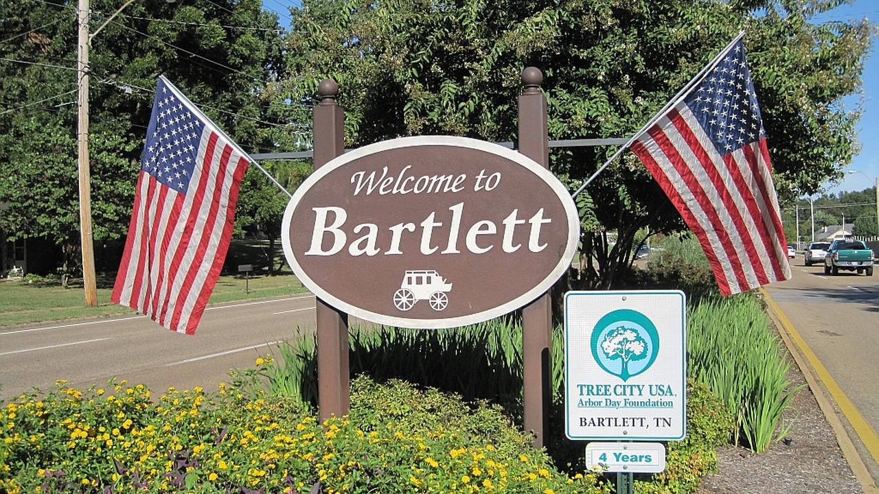 Bartlett web design services