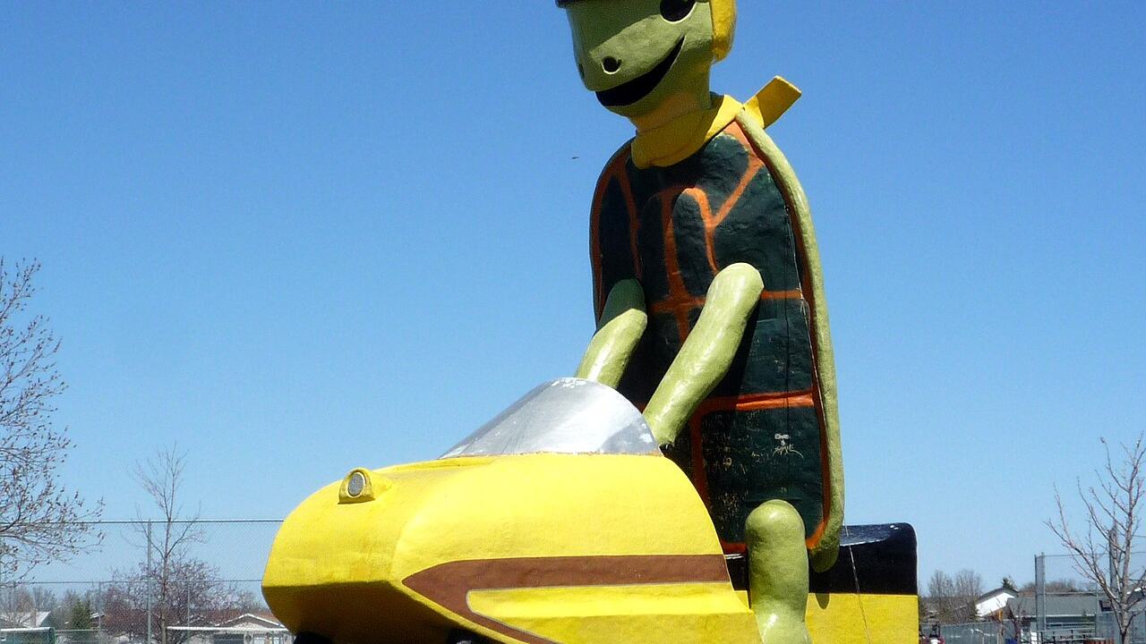 Bottineau web design services