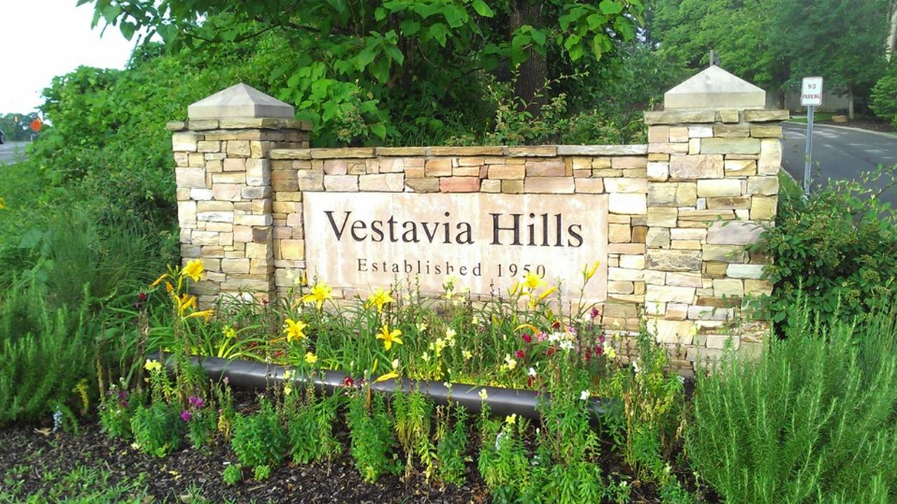 Vestavia Hills web design services